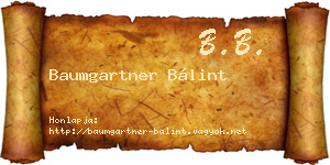 Baumgartner Bálint névjegykártya